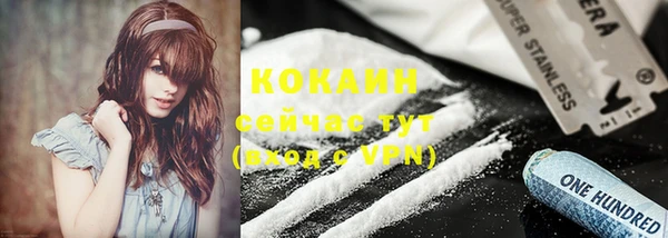 дживик Магас