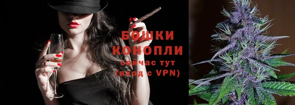 прущие грибы Майский