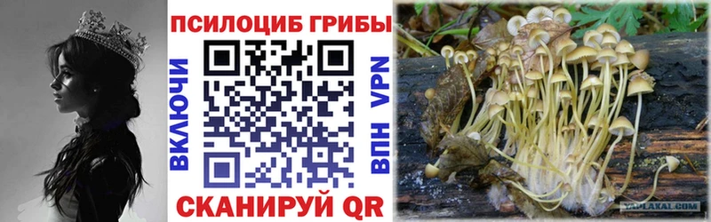 Галлюциногенные грибы MAGIC MUSHROOMS  Купить где  Альметьевск